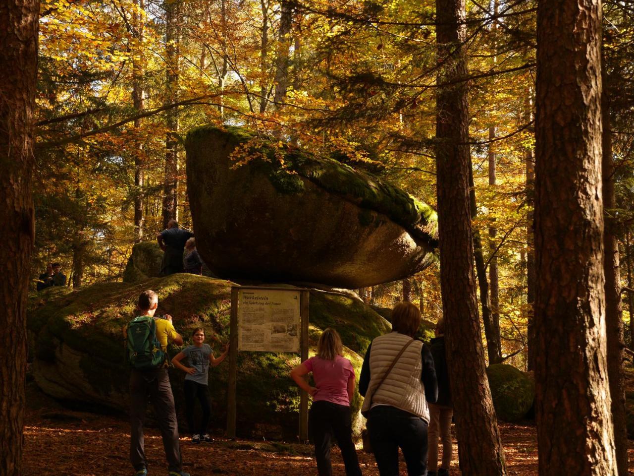 Fewo Kedo Neukirchen vorm Wald Exterior foto