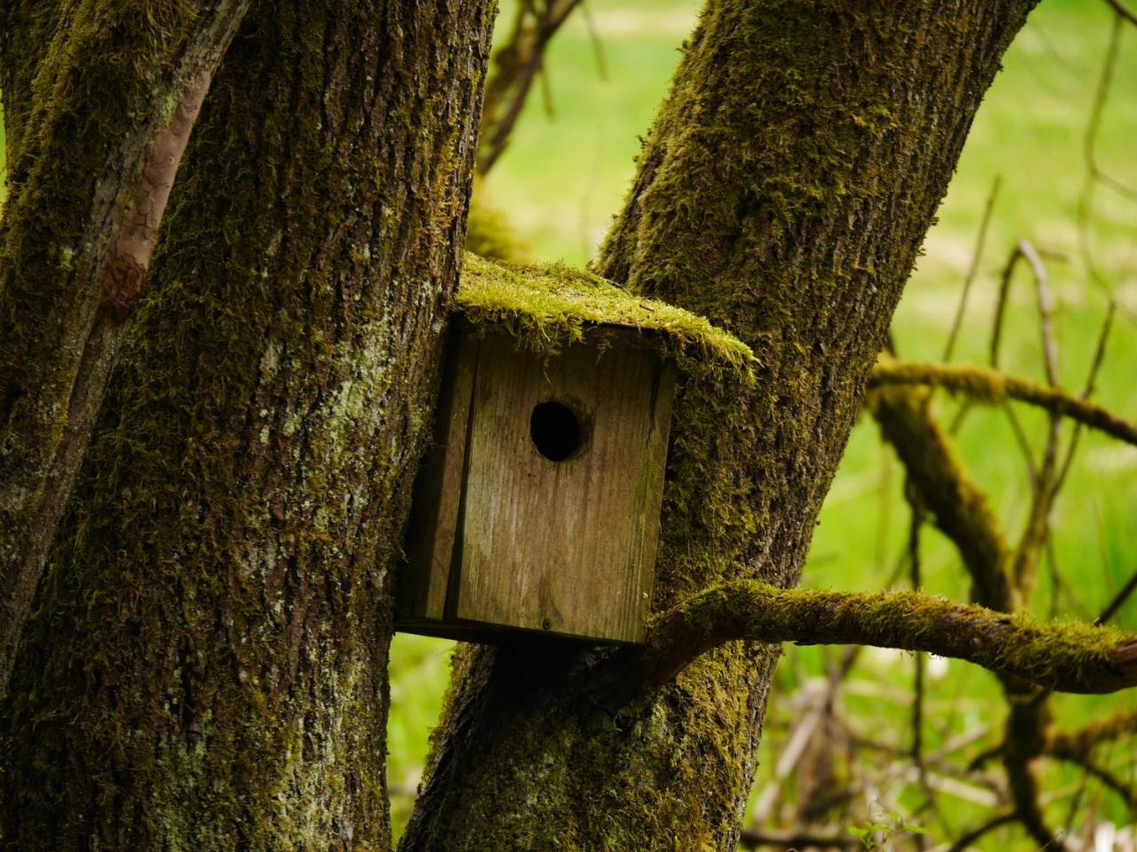 Fewo Kedo Neukirchen vorm Wald Exterior foto