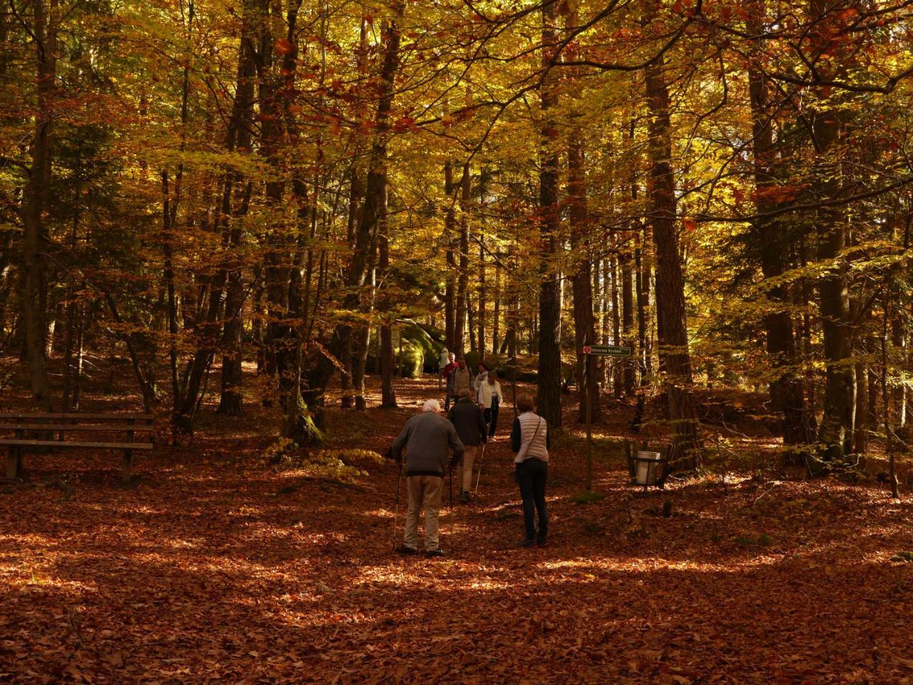 Fewo Kedo Neukirchen vorm Wald Exterior foto