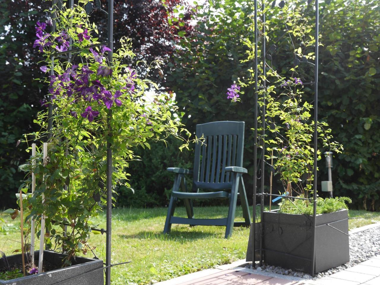 Fewo Kedo Neukirchen vorm Wald Exterior foto